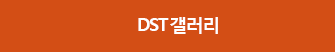 DST 갤러리